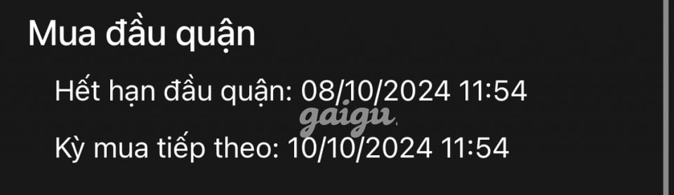 Thảo Mai – Lần Đầu Làm Web – Ngon Ngọt
